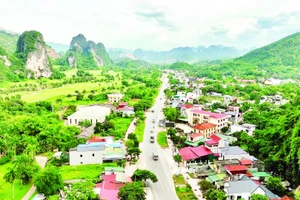 Xã Lương Sơn đang là vùng kinh tế động lực của tỉnh Phú Thọ.