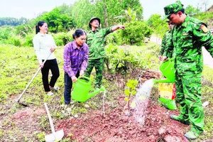 Chiến sĩ Đồn Biên phòng Cửa khẩu Chi Ma giúp nhân dân trồng ổi trong mô hình “Vườn kiểu mẫu”.