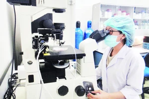 Hoạt động nghiên cứu khoa học tại Đại học Quốc gia Thành phố Hồ Chí Minh.