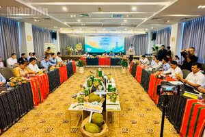 Quang cảnh buổi họp báo.