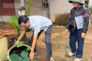 Ban Tự quản Tổ dân phố 12 Tân Lợi, phường Buôn Ma Thuột xử lý nước các chậu chứa nước diệt lăng quăng, phòng, chống sốt xuất huyết. (Ảnh: Công Lý)