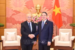 Phó Chủ tịch Quốc hội Nguyễn Đức Hải tiếp Tiến sĩ Kambiz Ghawami, Chủ tịch Tổ chức Hỗ trợ đại học thế giới, Cộng hòa Liên bang Đức (WUS). (Ảnh: TTXVN)