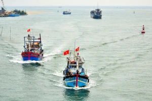 Ngư dân Quảng Trị vươn khơi bám biển, thực hiện nghiêm quy định chống khai thác IUU. (Ảnh TRẦN TUYỀN)
