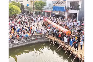 Cây đình liệu khổng lồ được trai tráng trong làng rước ra đền Lộng Khê.