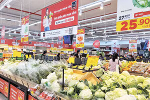 Nhiều siêu thị đã ký hợp đồng với các Hợp tác xã cung ứng rau xanh ra thị trường dịp cuối năm.