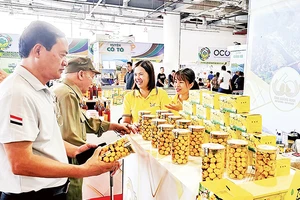 Sản phẩm trà hoa vàng của xã Ba Chẽ ngày càng nhận được sự tin yêu của người tiêu dùng trong và ngoài tỉnh.