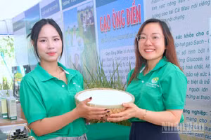 Mặt hàng gạo sinh thái chất lượng cao tại Cuộc thi gạo ngon khu vực Đồng bằng sông Cửu Long đang diễn ra tại Cà Mau.