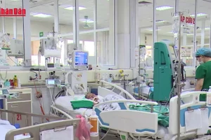 [Video] Số ca mắc cúm A gia tăng, người dân chủ động áp dụng các biện pháp phòng bệnh