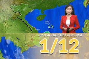 [Video] Dự báo thời tiết đêm nay và ngày mai 1/12/2025: Bão số 15 liên tục suy yếu