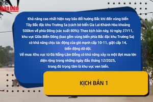[Video] Hai kịch bản bão số 15
