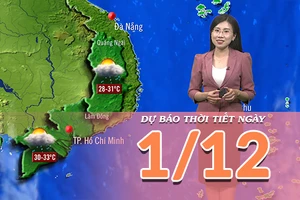 [Video] Dự báo thời tiết ngày 1/12/2025: Bão số 15 có khả năng tan trên biển