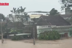 [Video] Người dân Đắk Lắk thiếu nước sạch sau lũ lớn