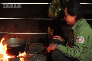 Tết đến, anh Huỳnh Thanh Huy sắp xếp công việc để giữ rừng tại Trạm quản lý, bảo vệ rừng 9 Bếp.