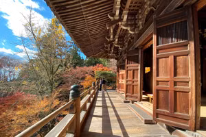 Mọi ngóc ngách, mọi khoảnh khắc đều khiến người ta chậm đi một nhịp. 