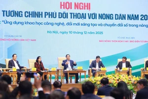 Gieo mầm khát vọng trên cánh đồng Việt.