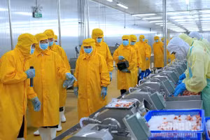 Phó Thủ tướng Chính phủ Hồ Quốc Dũng cùng đoàn công tác khảo sát thực tế tại xưởng sản xuất, chế biến tôm xuất khẩu của Tập đoàn Thủy sản Minh Phú.