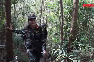 [Video] Bộ đội nữ vượt đường rừng tiếp sức lực lượng quy tập hài cốt liệt sĩ tại hang Đá Sập
