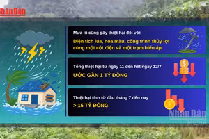 [Video] Mưa lớn tiếp tục gây thiệt hại tại Điện Biên, tổng thiệt hại vượt 15 tỷ đồng