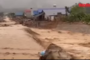 [Video] Mưa lớn gây nhiều điểm sạt lở, ách tắc quốc lộ 32 và 279 tại Lai Châu