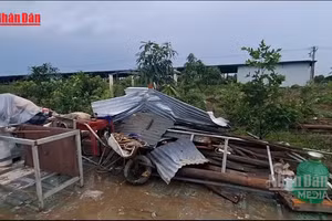 [Video] Dông lốc tại Cà Mau làm 75 căn nhà hư hại, 4 người bị thương