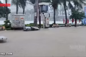 [Video] Dự báo thời tiết ngày 4/7: Bắc Bộ mưa lớn do ảnh hưởng bão số 1