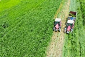 Trang trại Vinamilk Green Farm. (Ảnh: VI NAM)