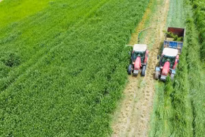 Trang trại Vinamilk Green Farm. (Ảnh: VI NAM)