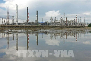 Sắc xanh tiếp tục lan tỏa trên thị trường hàng hóa nguyên liệu thế giới