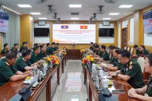 Quang cảnh buổi làm việc.