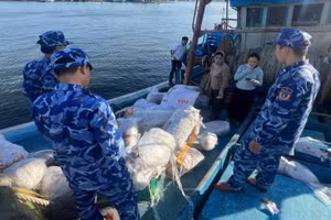 Bộ Tư lệnh Vùng Cảnh sát biển 2 phát hiện tàu cá vi phạm pháp luật trên biển.
