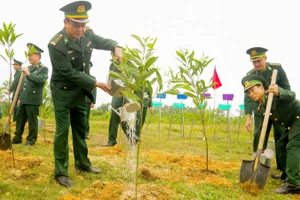 Cán bộ, chiến sĩ Bộ đội Biên phòng tỉnh Quảng Trị ra quân trồng cây đầu xuân Bính Ngọ 2026.