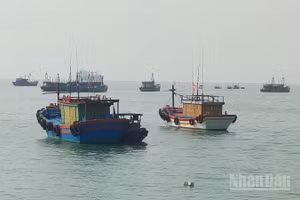 Dự án xây dựng khu neo đậu tàu thuyền cho ngư dân tạo điều kiện để sắp xếp lại vị trí neo đậu tàu thuyền phục vụ các dự án kinh tế lớn ở Khu Kinh tế Hòn La (Trong ảnh: Tàu thuyền neo đậu trên vịnh Hòn La).
