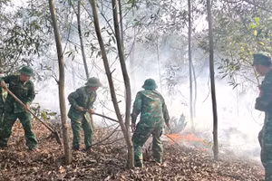 Đồn Biên phòng Hải An thuộc Bộ đội Biên phòng tỉnh Quảng Trị chữa cháy rừng tràm tại xã Mỹ Thủy chiều 1/4.