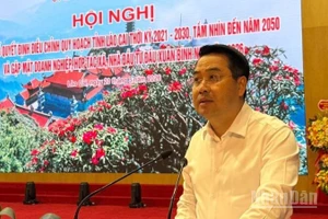 Chủ tịch Ủy ban nhân dân tỉnh Nguyễn Tuấn Anh phát biểu tại hội nghị. (Ảnh: THANH SƠN)