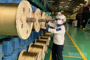 Sản xuất công nghiệp xuất hiện nhiều điểm sáng rõ nét. (Ảnh: HNV)