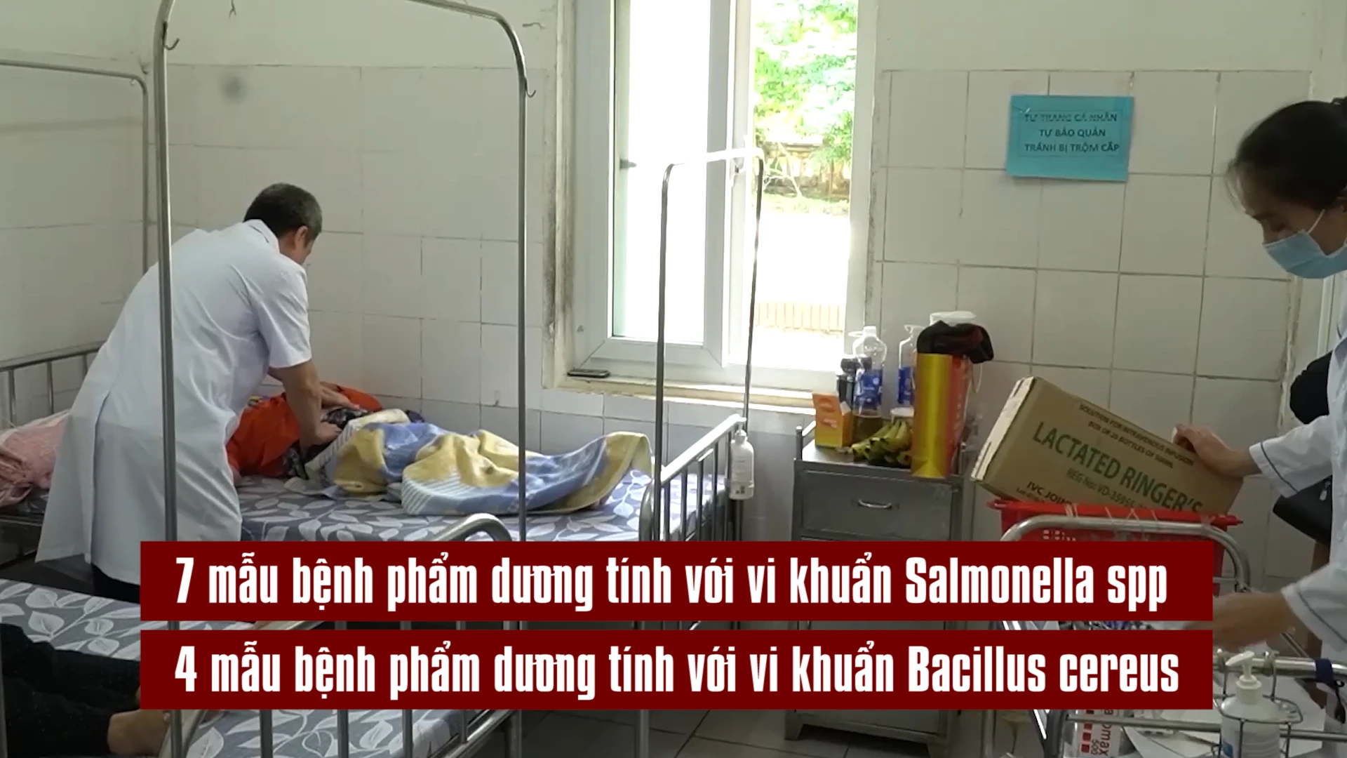 Phát hiện vi khuẩn Salmonella và Bacillus trong vụ ngộ độc bánh mì ở Quảng Trị