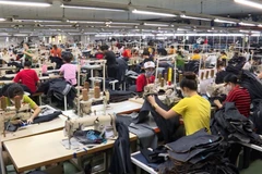 [Video] Người lao động vùng đặc biệt khó khăn có thể nghỉ hưu sớm từ 1/1/2026