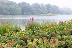 [Video] Đêm nay Bắc Bộ trở rét