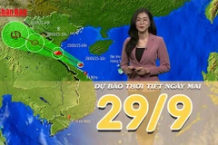 [Video] Dự báo thời tiết đêm nay và ngày mai 29/9/2025: Bão số 10 đổ bộ vào đất liền