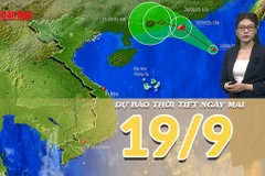 [Video] Dự báo thời tiết đêm nay và ngày mai 19/9/2025: Cảnh báo mưa cường suất lớn ở Trung Bộ