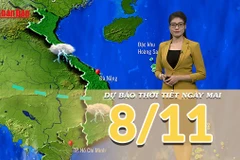 [Video] Dự báo thời tiết đêm nay và ngày mai 8/11/2025: Trung Bộ tiếp tục có mưa lớn