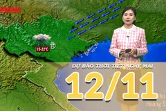 [Video] Dự báo thời tiết đêm nay và ngày mai 12/11/2025: Không khí lạnh tăng cường xuống nước ta