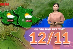 [Video] Dự báo thời tiết ngày 12/11/2025: Miền Bắc chuyển tạnh ráo 