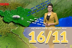 [Video] Dự báo thời tiết đêm nay và ngày mai 16/11/2025: Miền Bắc chuyển trạng thái trời nhiều mây