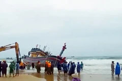 [Video] Thành lập Cổng Thông tin điện tử Ban Chỉ đạo Phòng thủ dân sự quốc gia