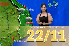 [Video] Dự báo thời tiết đêm nay và ngày mai 22/11/2025: Mưa lớn tiếp diễn ở Trung Bộ