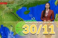 [Video] Dự báo thời tiết đêm nay và ngày mai 30/11/2025: Bão số 15 di chuyển chậm