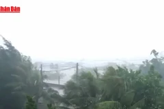 [Video] Chủ động ứng phó mưa lớn, rét đậm, rét hại và gió mạnh trên biển