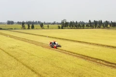 [Video] Hình thành 5 vùng nguyên liệu nông, lâm sản đạt chuẩn