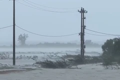 [Video] Tháng 12 có thể xuất hiện 1-2 cơn bão, áp thấp nhiệt đới trên Biển Đông